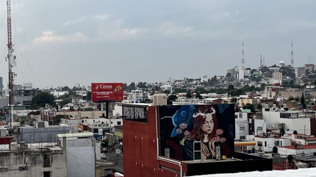 Roof View